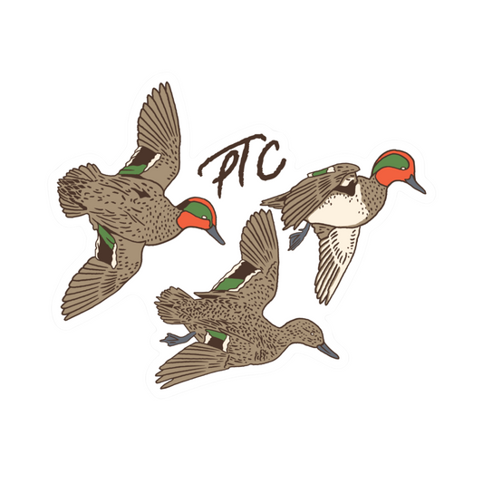 Pull Time Sticker | Green Wing Teal